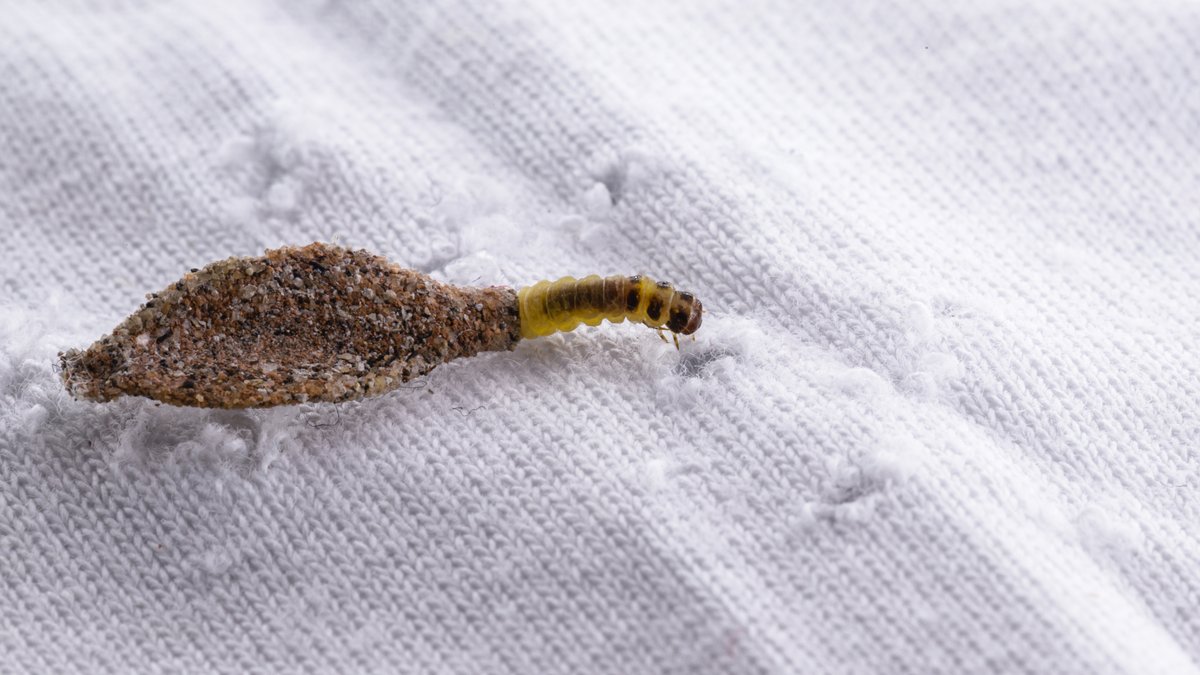 Foto: "RHJ" /iStock