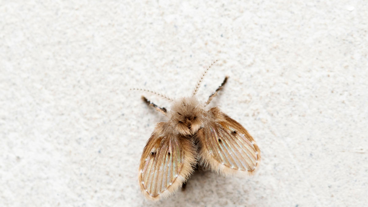 Bild von: ePhotocorp von Getty Images 